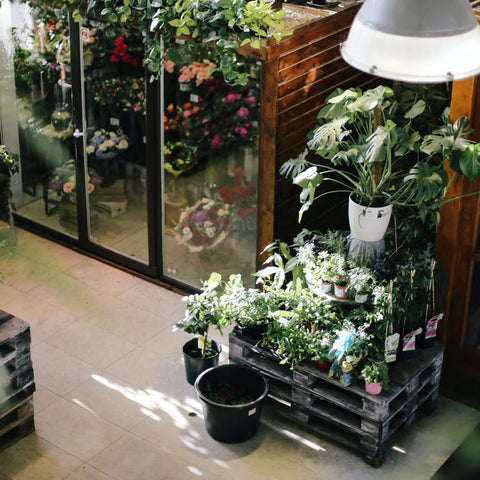 Indoor Gardening &amp; Hydroponics